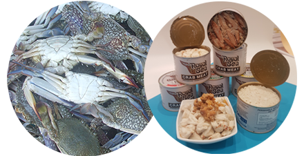 crabmeat